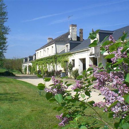La Mesnagerie Bed & Breakfast Jarzé Екстериор снимка
