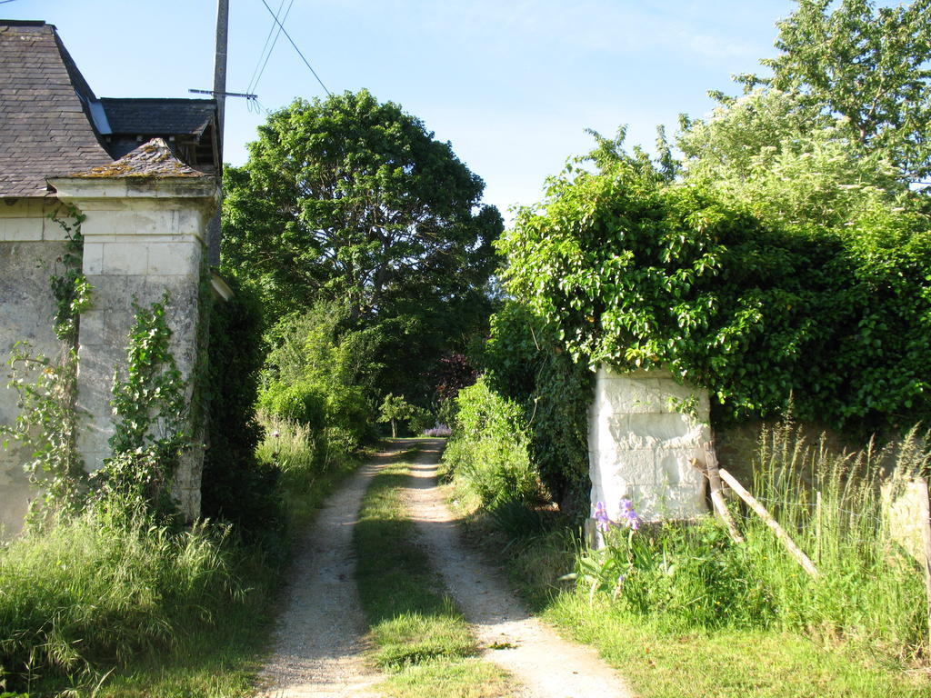 La Mesnagerie Bed & Breakfast Jarzé Екстериор снимка