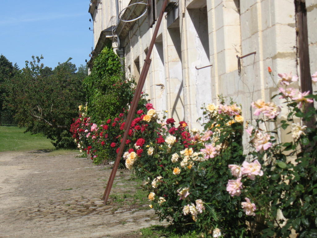 La Mesnagerie Bed & Breakfast Jarzé Стая снимка