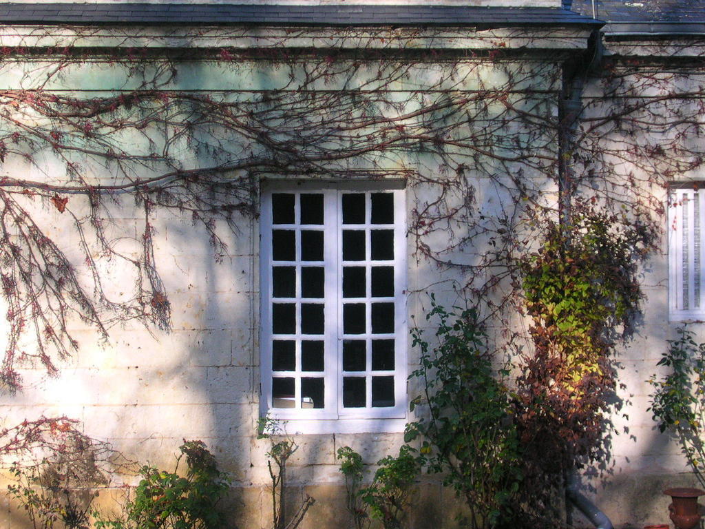La Mesnagerie Bed & Breakfast Jarzé Екстериор снимка